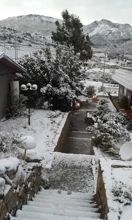 Jardín nevado del Hotel Las Vicuñas