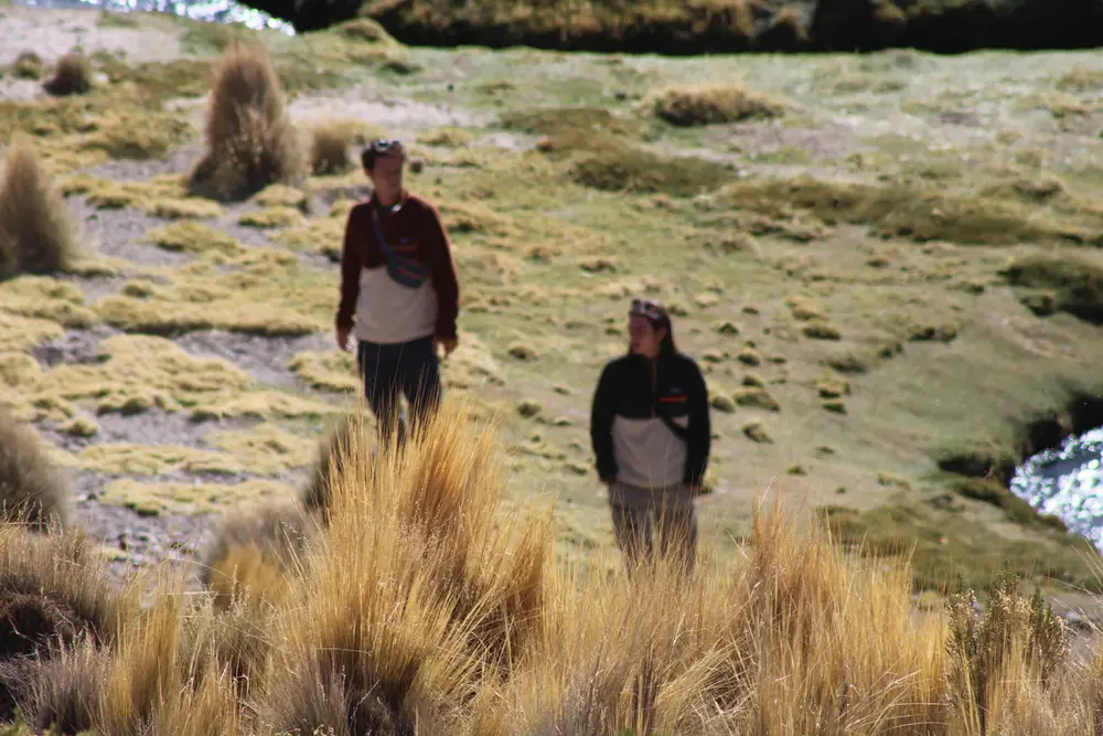 Amigos caminando por el pajonal del altiplano