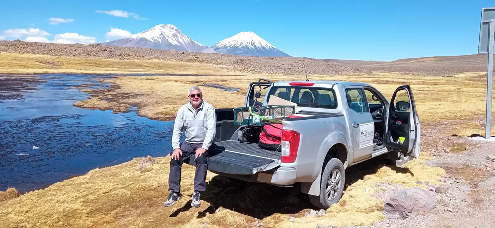 Bofedal del Lauca con los Payachatas