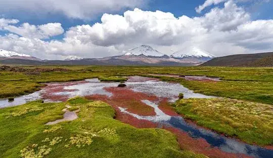Calvarios de Caquena