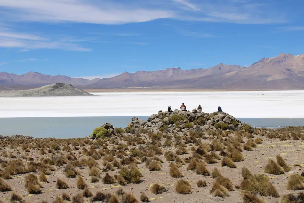 Grupo de amigos en mirador de rocas con flamencos en el Salar de Surire