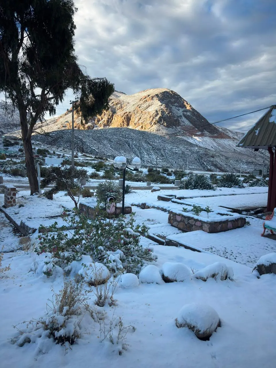 El jardín del Hotel Las Vicuñas cubierto de nieve en Putre