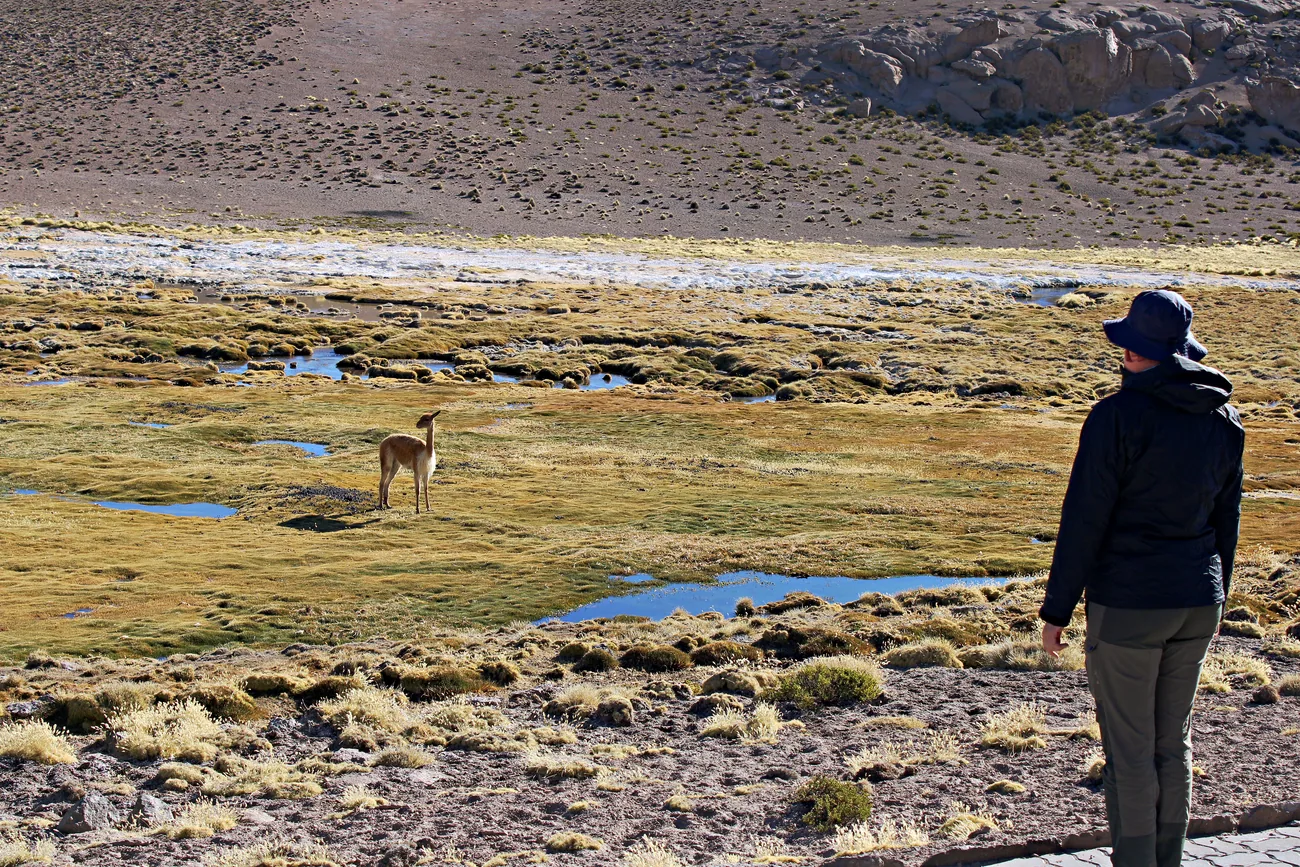 Panorámica del Parque Nacional Lauca, Reserva de la Biósfera UNESCO