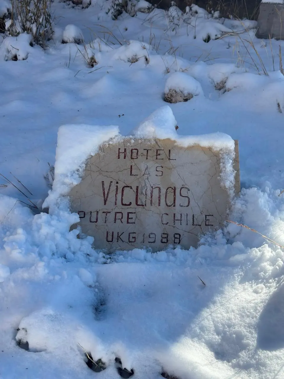 Piedra grabada del Hotel Las Vicuñas, Putre 1988, entre la nieve