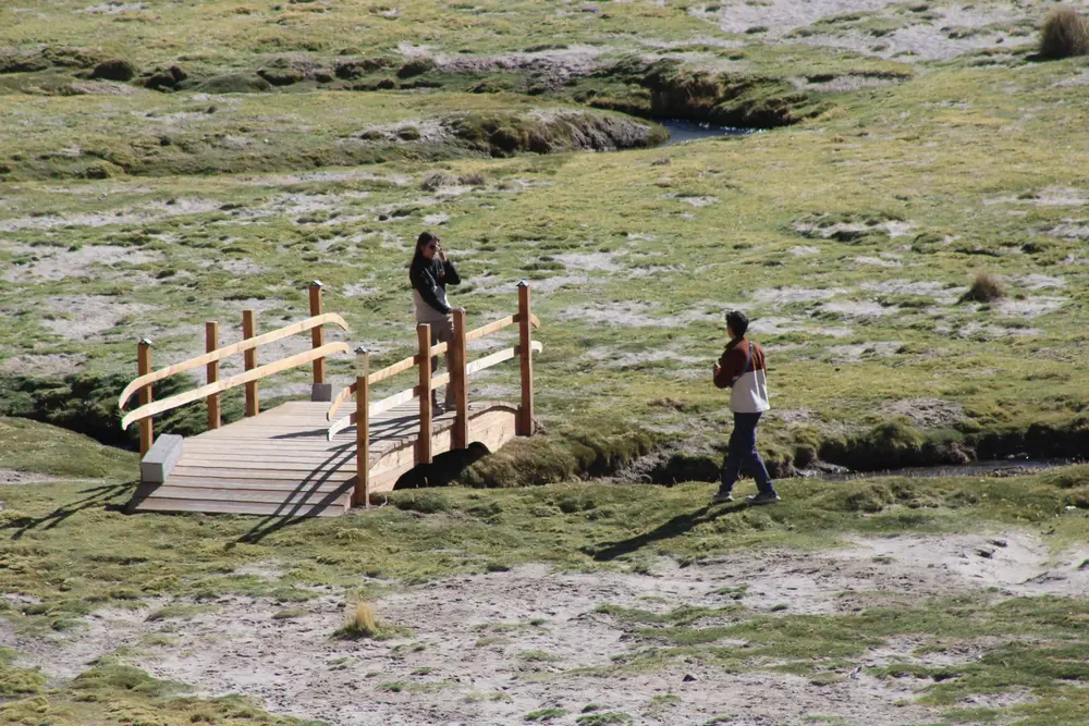 Turistas cruzando el puente sobre el bofedal de Guallatire