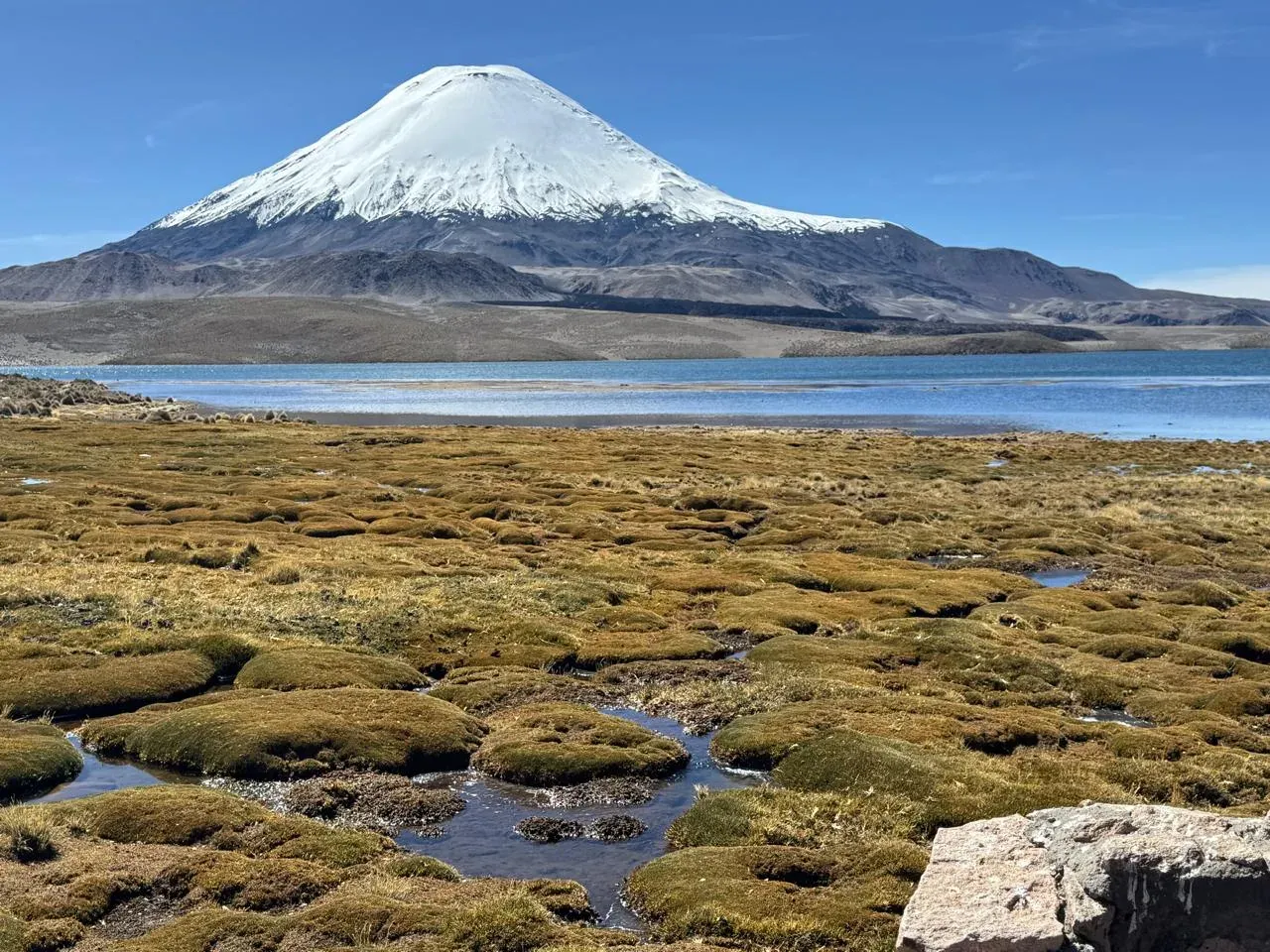Postal del altiplano durante el viaje de Roberto